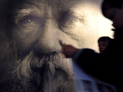Darwin day: sette luoghi comuni su Darwin e l'evoluzionismo