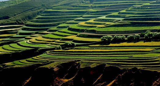 Lo spettacolo dei campi terrazzati in Cina 19