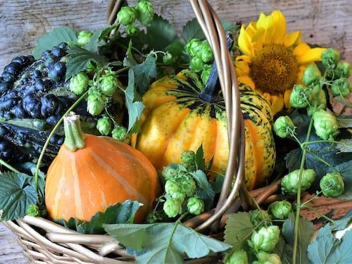 Tutte le proprietà benefiche della zucca