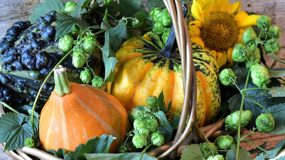 Tutte le proprietà benefiche della zucca