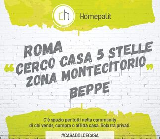 "Cerco casa bianca zona Washington", la pubblicità sfotte Donald, Hillary e non solo... 4