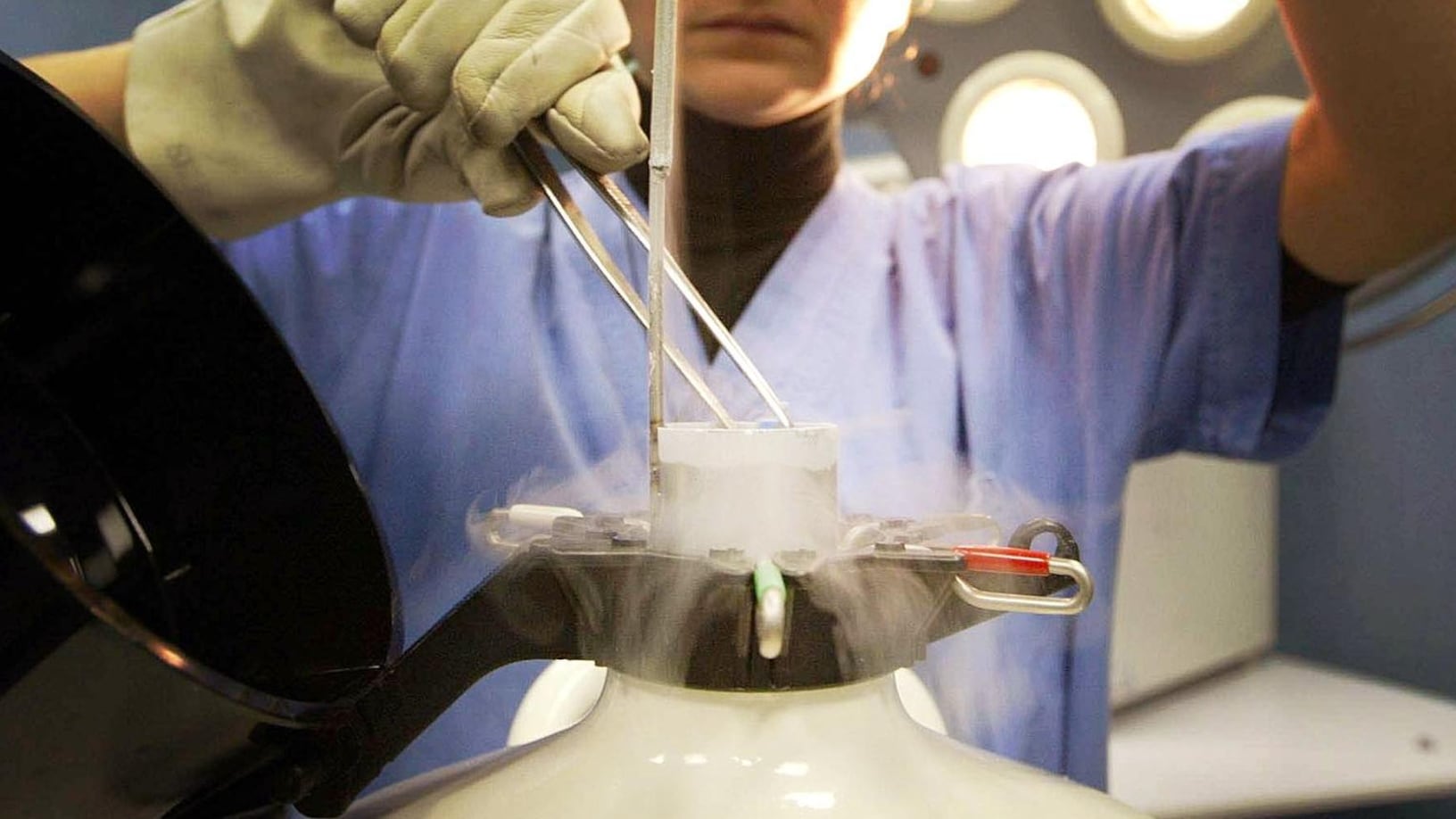 Fecondazione, il giudice ordina: sì alla diagnosi preimpianto