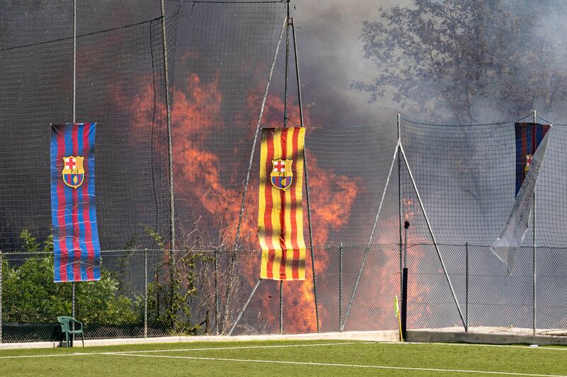 Incendio di pineta Sacchetti a Roma 3