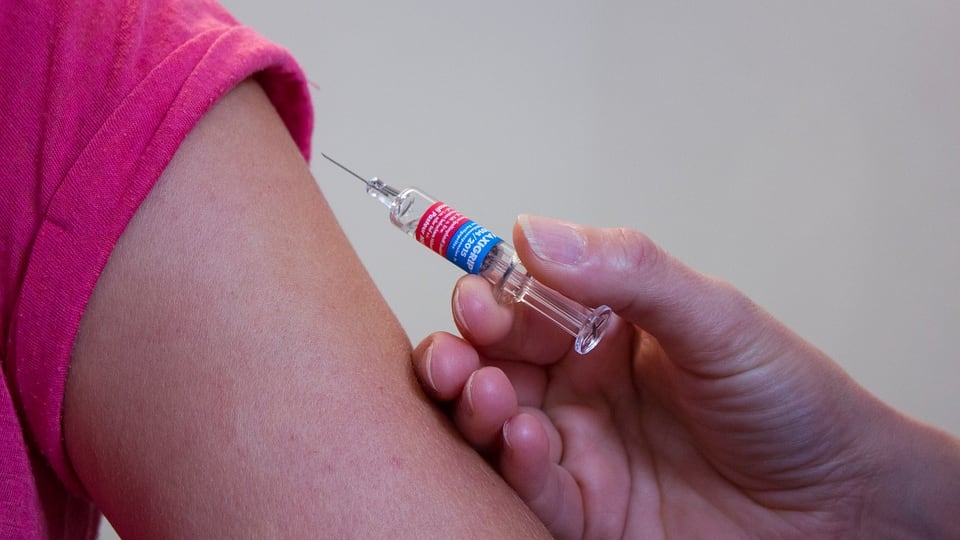 Isolato il primo ceppo di virus influenzale H1-N1 in Campania