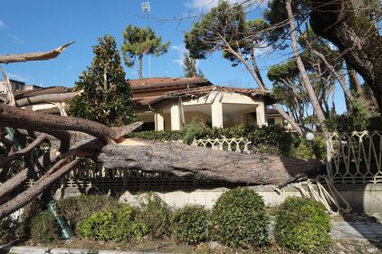 Il maltempo distrugge la pineta di Forte dei Marmi 12
