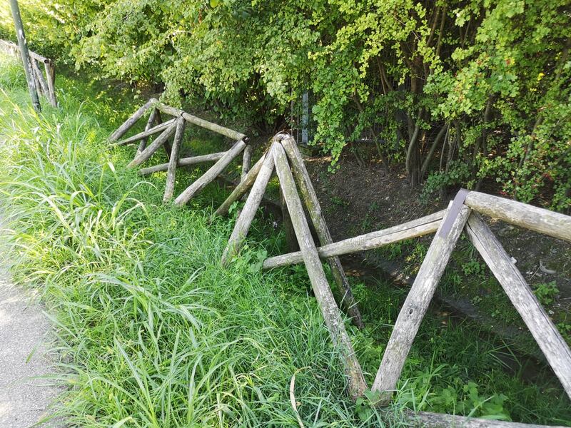 Torino, quel giardino dimenticato dedicato alle vittime delle foibe 9