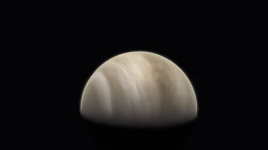 Scienza, scoperti su Venere possibili indizi di vita