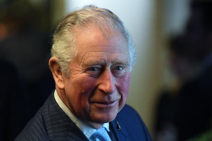 Royal Family, la linea di successione in foto 10