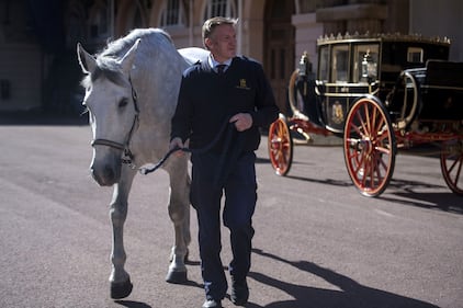 Royal Wedding, i preparativi 13