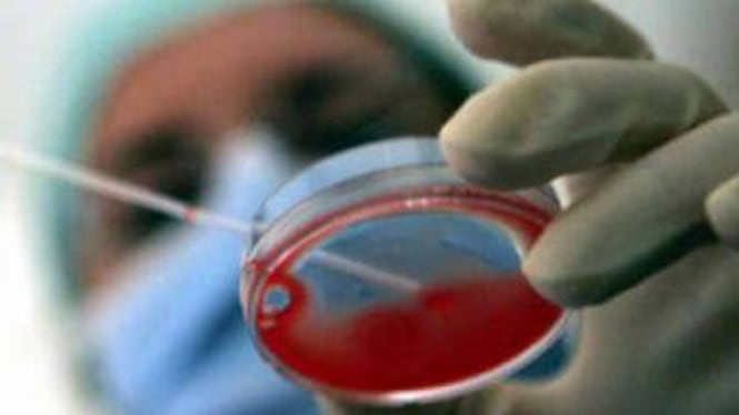 Tumori, le nuove frontiere della biopsia liquida