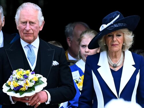 "Se il bimbo avesse i capelli rossi afro?": lo scandalo travolge Camilla