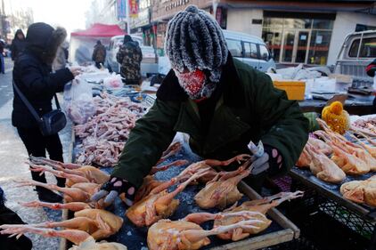 Sopravvivere al freddo invernale, in Cina 14