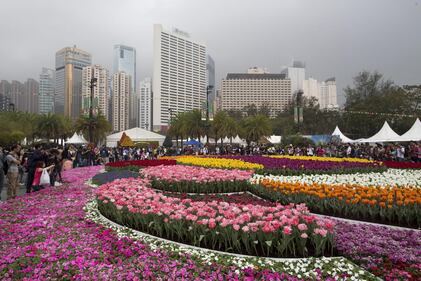 Hong Kong, il giardino tra i palazzi 4