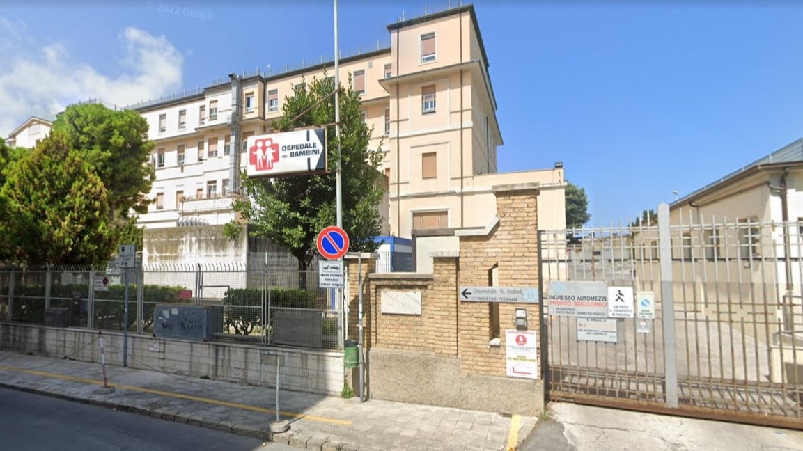 Ancona, degrado in ospedale: blatte vicino a un bimbo operato al cervello