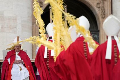 La Domenica delle Palme in Vaticano 5