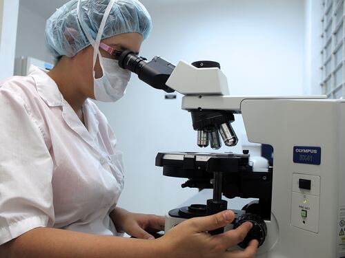 Così le "cellule T" che garantiscono l'immunità
