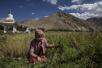 Ora il Ladakh ha un suo territorio: è festa tra la popolazione 7