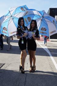 Le sexy ragazze del MotoGp di Misano 9