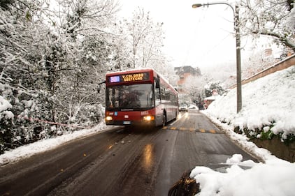 Bologna sotto la neve, le immagini 6