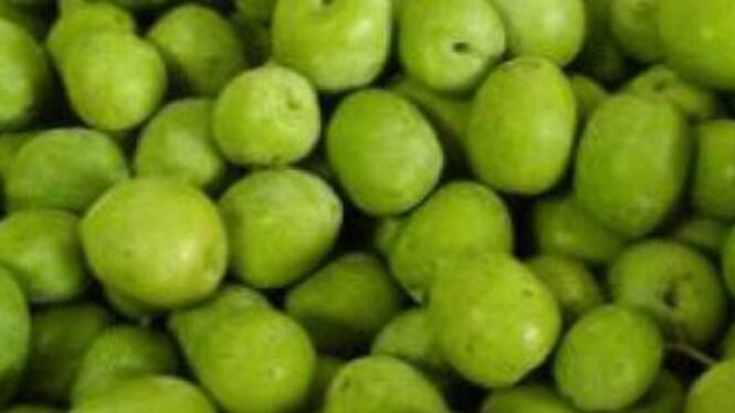 Ladri di olive colti con le mani nel... sacco. Ma la proprietaria li ringrazia