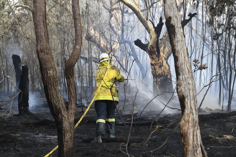 L'Australia minacciata dagli incendi: è emergenza 10