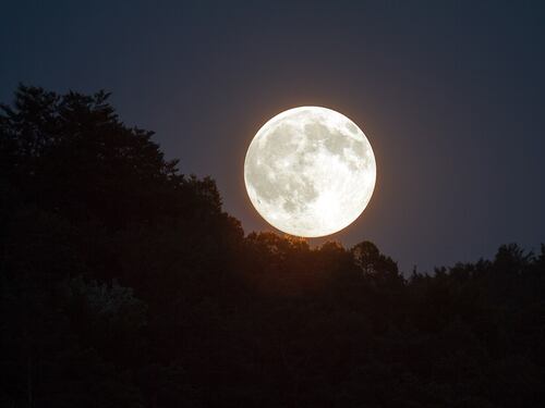 Allarme luna piena. Aumentano gli incidenti stradali