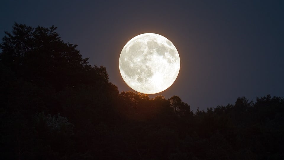 Allarme luna piena. Aumentano gli incidenti stradali