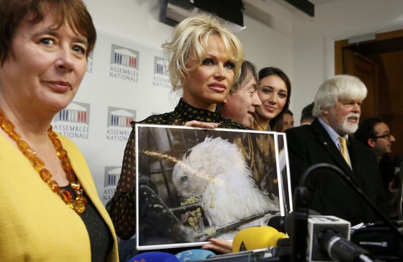 Pamela Anderson contro il foie gras 10