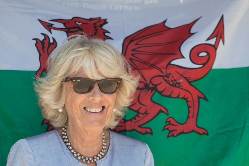 Camilla Parker Bowles, le foto della duchessa 7