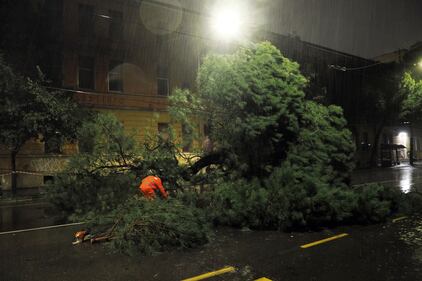 Maltempo a Bologna: alberi caduti, allagamenti ed esondazioni 3