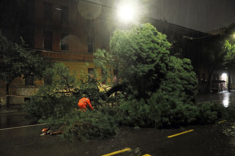 Maltempo a Bologna: alberi caduti, allagamenti ed esondazioni 3