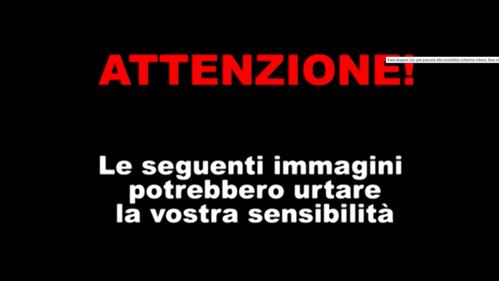 Picchiata dall'ex fidanzato, mette le foto su twitter 1
