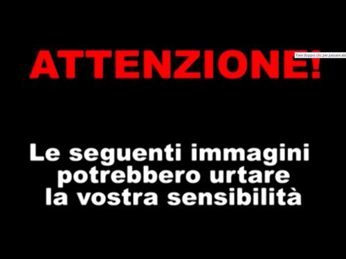 Picchiata dall'ex fidanzato, mette le foto su twitter