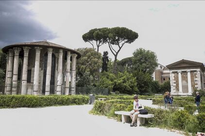 Le meraviglie di Roma: i pini marittimi in città 7