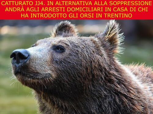 La satira del giorno. Catturato Jj4