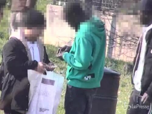 Piacenza, arrestato 2 volte in 4 giorni: a processo pusher straniero