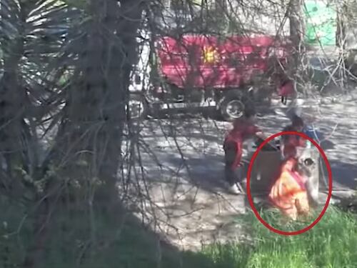 Roma, gettavano oli esausti in un tombino: la Raggi posta il video