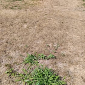 Manutenzione del verde al 'Parco 8 marzo' di Milano 2