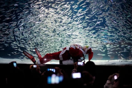 Babbo Natale nell'acquario 1