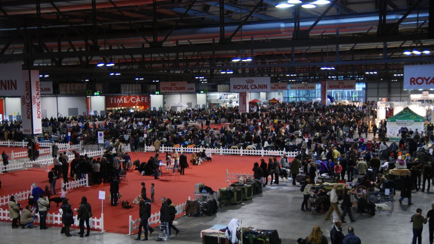 Gare e concorsi, la carica dei 10mila cani in Fiera