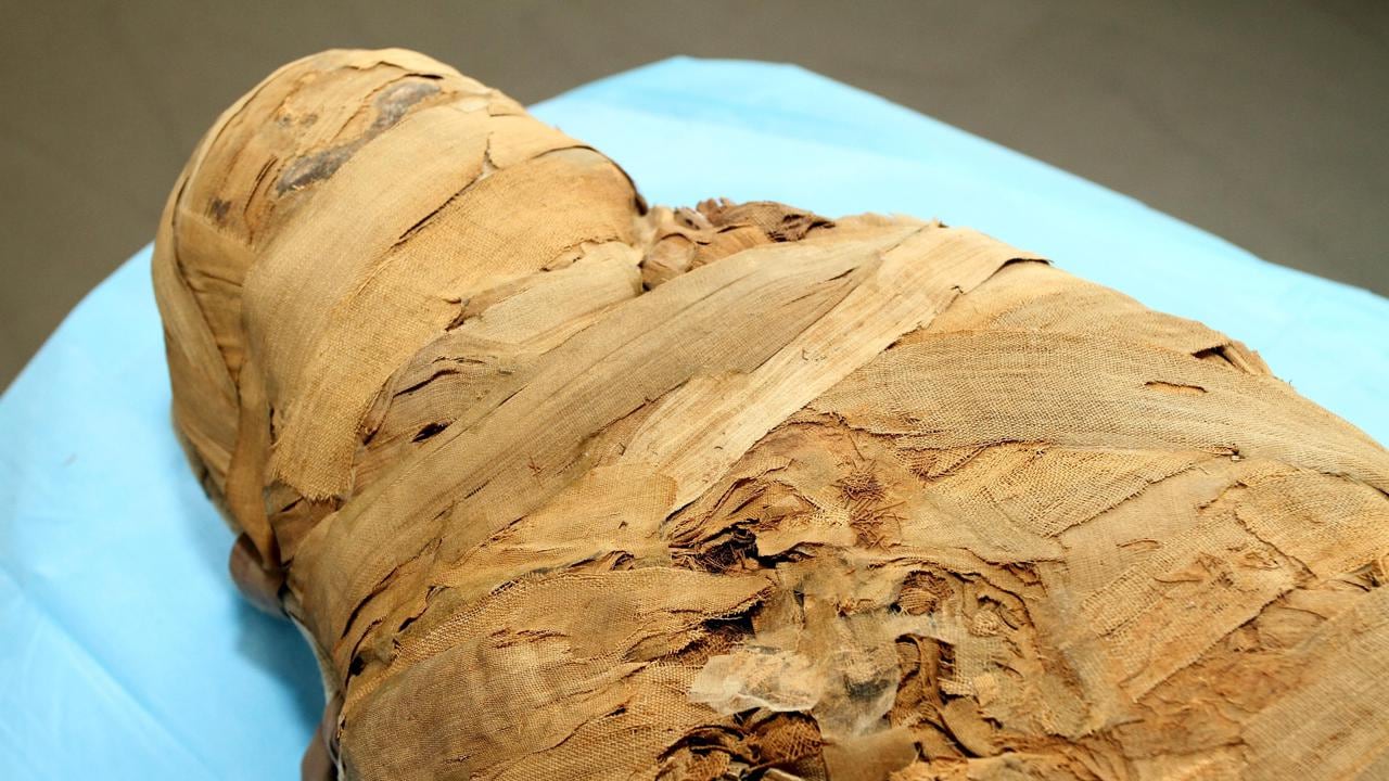 Legnoso e dolce-piccante, ecco il profumo di Tutankhamon: scoperto odore mummie egiziane