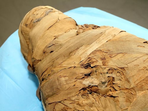 La burocrazia del woke cancella le mummie