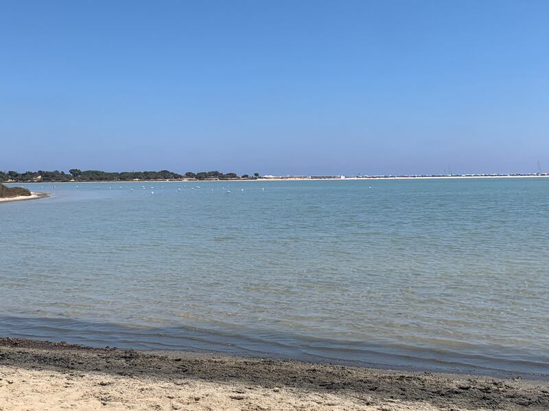 Avventura in Ogliastra a bordo di Jeep Compass 4XE 19