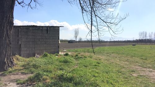 Prostituta a 64 anni: le prestazioni tra le campagne in mezzo all'amianto 4