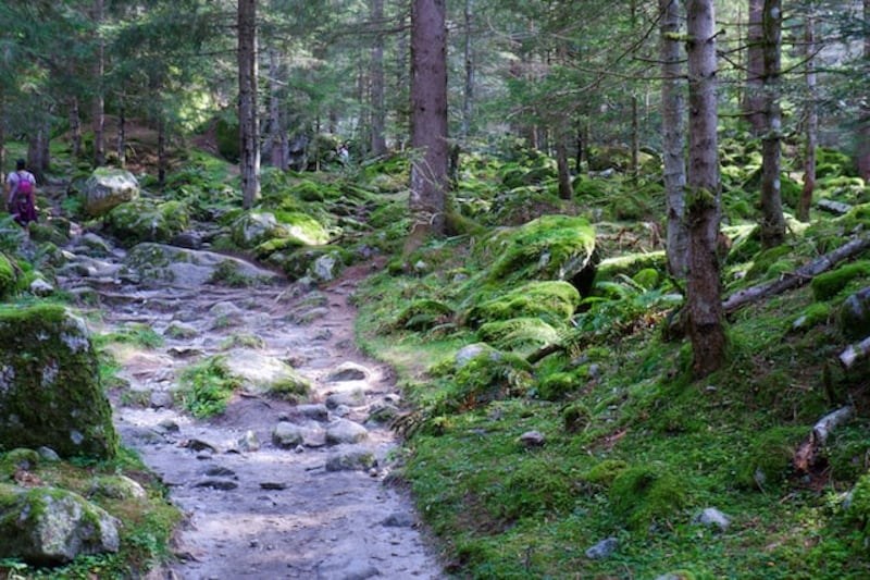 Natura e Lombardia