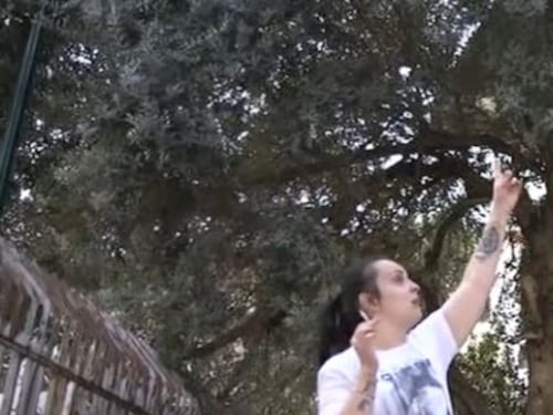 Scampia, famiglie vivono nella scuola: "Non abbiamo niente"