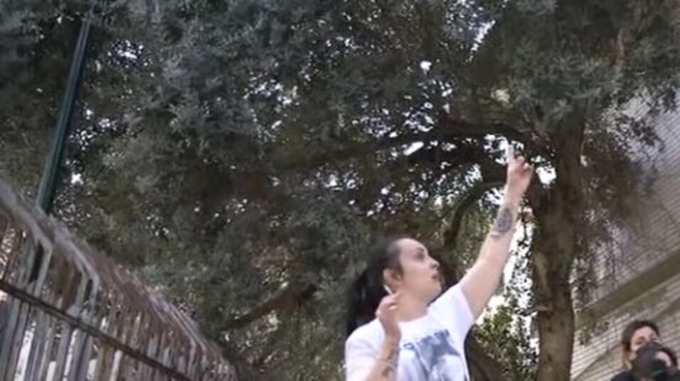 Scampia, famiglie vivono nella scuola: "Non abbiamo niente"