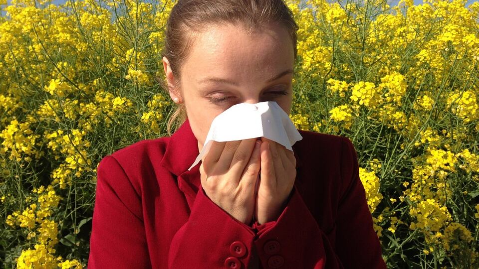 I falsi miti sulle allergie primaverili