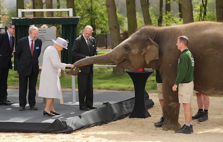 La Regina Elisabetta va allo zoo a vedere gli elefanti 5
