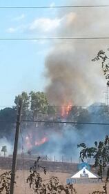 Roma, bruciati più di 50 ettari: evacuati struttura per anziani e convento 7